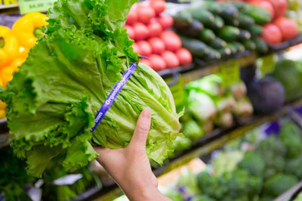 Eat-Clean Diet